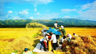 Gạo Điện Biên – Hạt gạo xứ “Mường Trời”