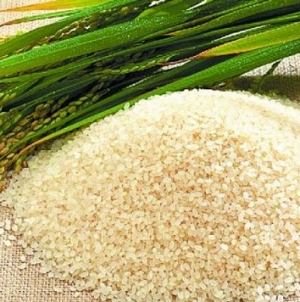 Gạo Điện Biên: Danh xưng đệ nhất gạo ngon vùng Tây Bắc